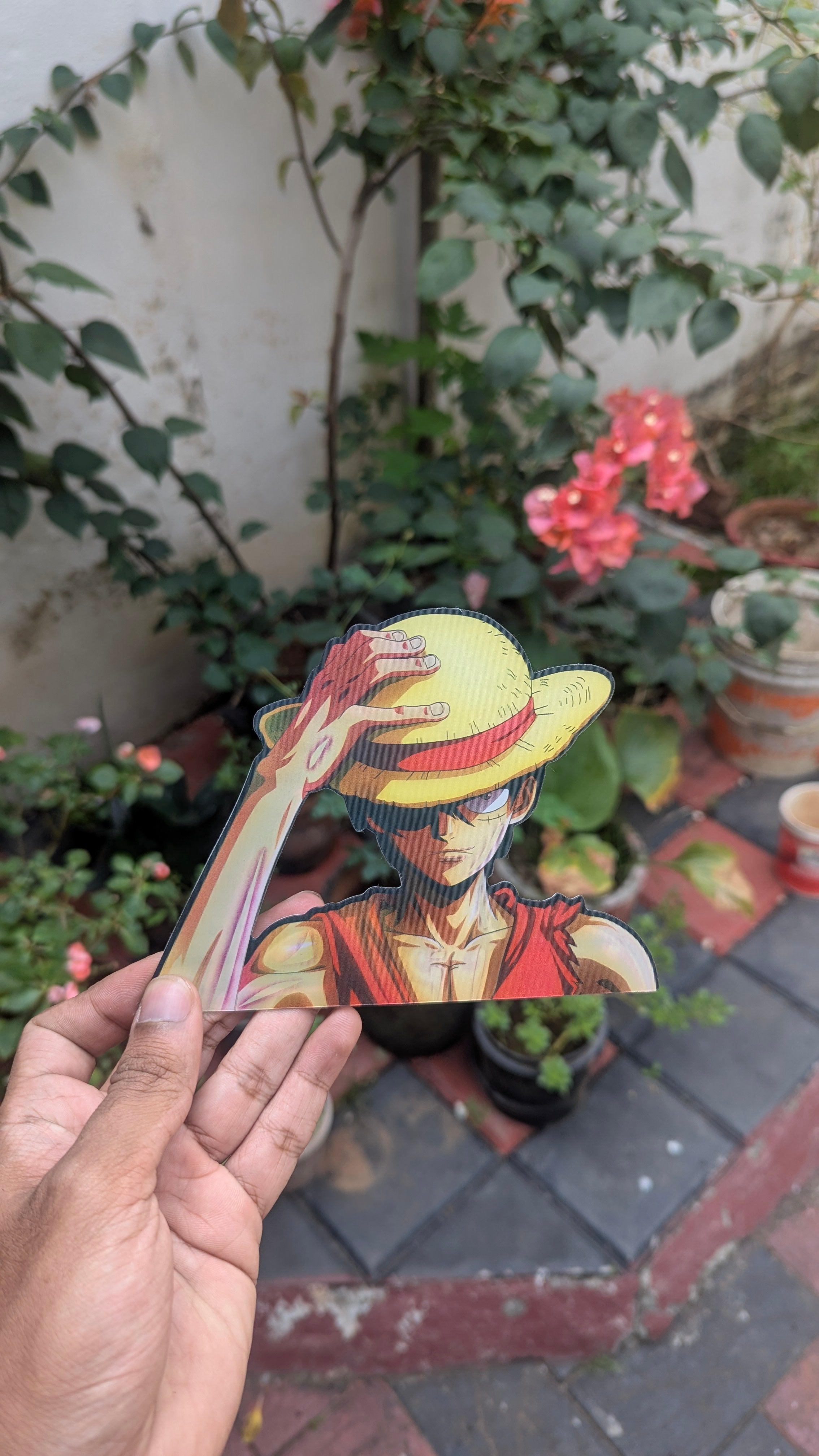 Luffy: The Pirate King Awakens