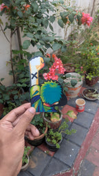 Alabasta: The Final Salute