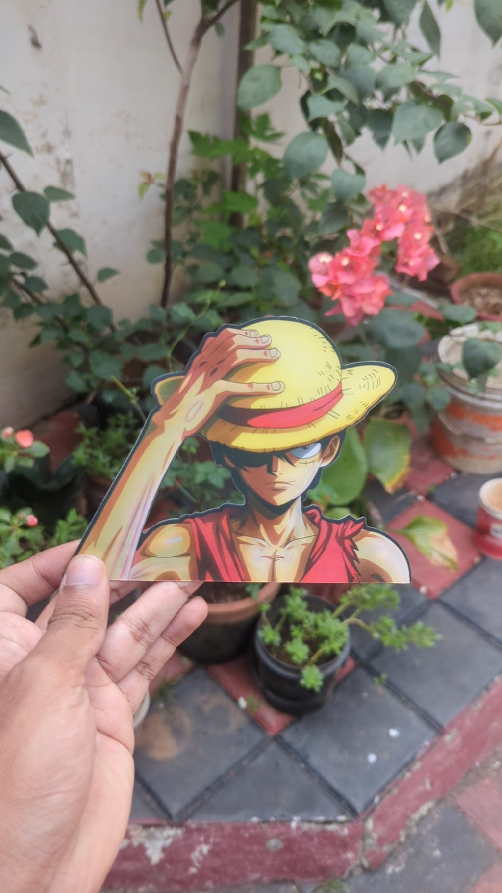 Luffy: The Pirate King Awakens