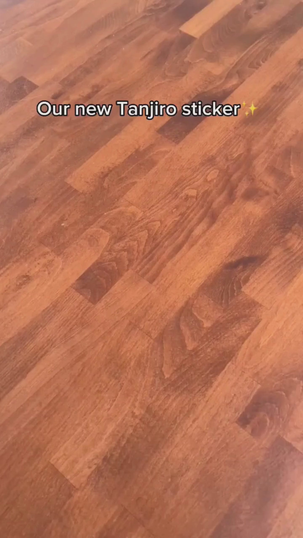 Tanjiro x Yoriichi Motion